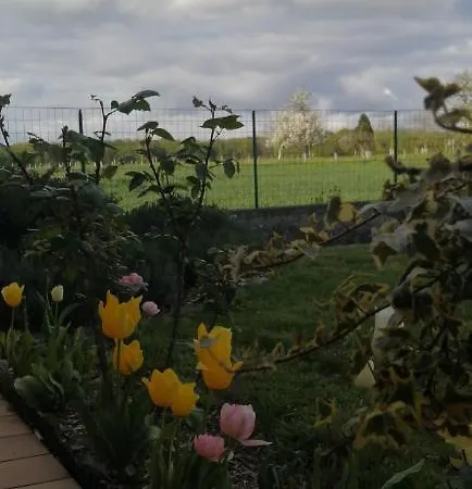 게스트하우스 La Du Valois Cuvergnon