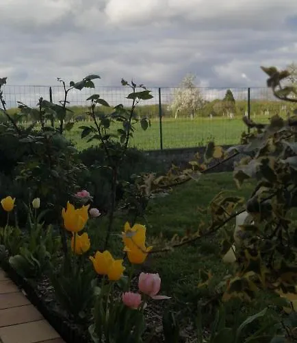 Maison d'hôtes La Du Valois Cuvergnon